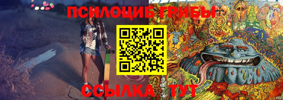 Галлюциногенные грибы MAGIC MUSHROOMS  Псилоцибиновые грибы Psilocybe  Вход с VPN  Ртищево 